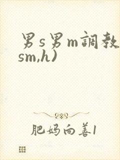 男s男m调教(sm,h)