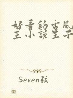 好看的古风双男主小说生子