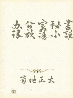 办公室秘书很骚很放荡小说封面