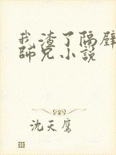 我渣了隔壁峰大师兄小说