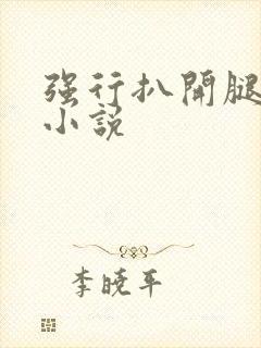 强行扒开腿狂揉小说