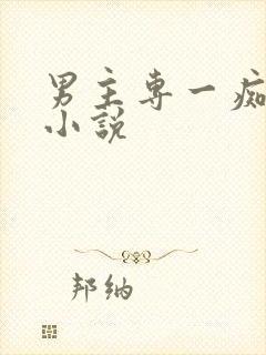 男主专一痴情的小说