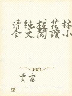 清纯校花林思琪全文阅读小说封面