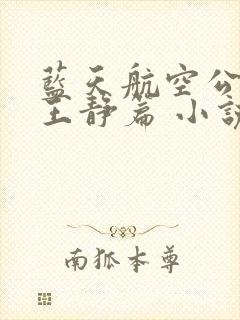 蓝天航空公司的王静篇 小说