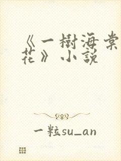 《一树海棠压梨花》小说