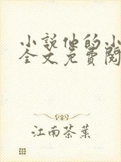 小说他的小仙女全文免费阅读