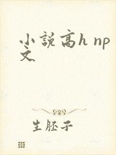 小说高h np文