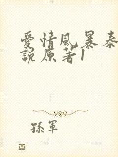 爱情风暴泰国小说原著1