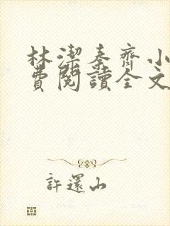 林洁秦齐小说免费阅读全文最新章节封面