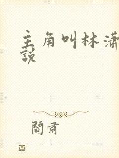 主角叫林潇的小说