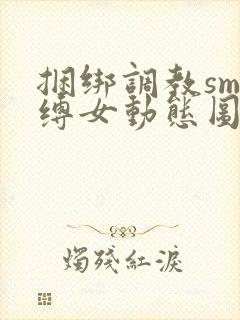 捆绑调教sm束缚女动态图