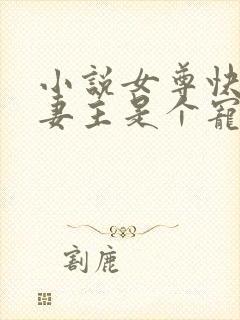 小说女尊快穿之妻主是个宠夫狂