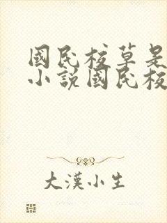 国民校草是女生小说国民校草是女生