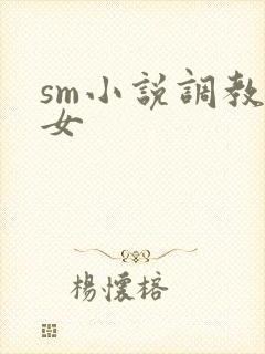 sm小说调教母女