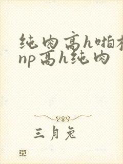 纯肉高h啪校园np高h纯肉