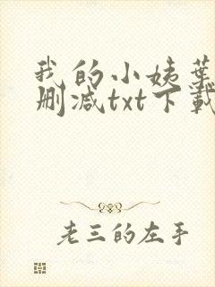 我的小姨叶凡无删减txt下载封面