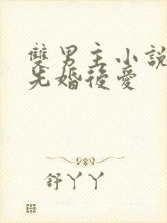 双男主小说推荐先婚后爱封面