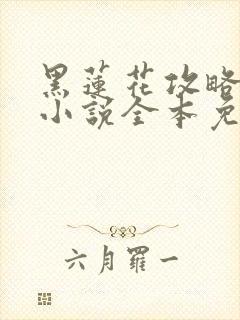 黑莲花攻略手册小说全本免费下载