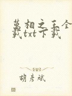 万相之王全文下载txt下载封面