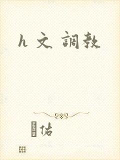 h 文 调教