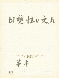 bl双性v文h封面