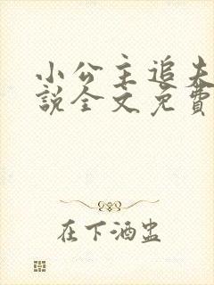 小公主追夫记小说全文免费阅读