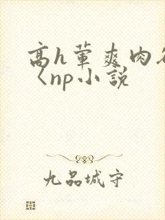 高h荤爽肉欲文〈np小说