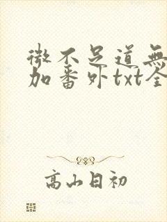 微不足道无删减加番外txt全文免费阅封面