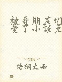 被哥朋友们强制爱了小说免费阅读最