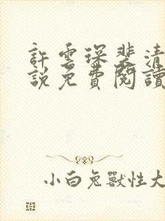 许云琛裴清欢小说免费阅读无弹窗