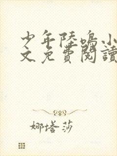 少年陆鸣小说全文免费阅读