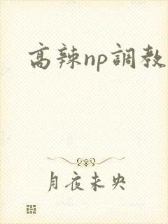 高辣np调教文