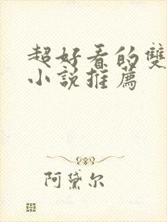 超好看的双男主小说推荐