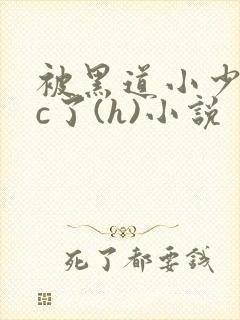 被黑道小少爷爆c了(h)小说