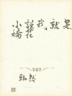 小说我就是如此娇花