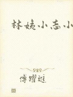 林姨小志小说