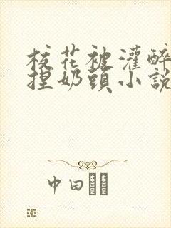 校花被灌醉扒衣捏奶头小说封面