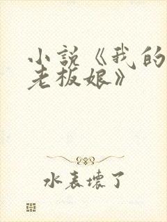 小说《我的绝色老板娘》