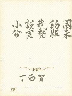 小说我的国民老公完整版未删减小说封面