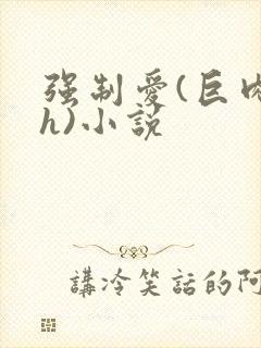 强制爱(巨肉高h)小说