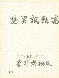 双男调教高h文封面