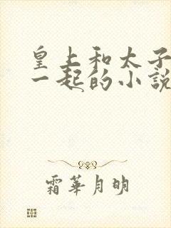 皇上和太子妃在一起的小说