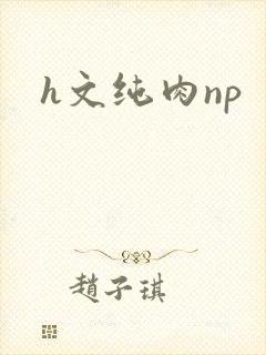 h文纯肉np
