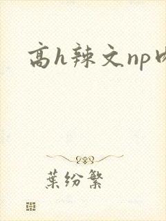 高h辣文np肉
