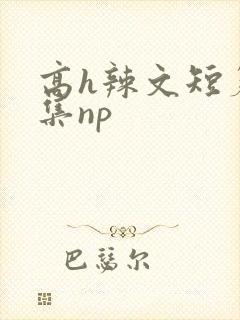 高h辣文短篇合集np封面