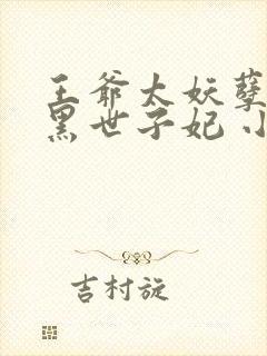 王爷太妖孽:腹黑世子妃 小说封面