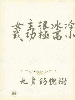 女主很冰冷超美武功极高小说