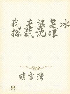 我老婆是冰山女总裁沈浪