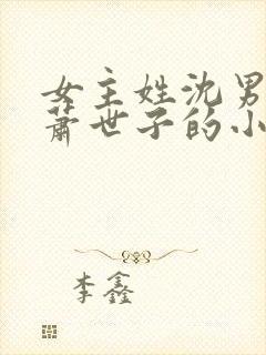 女主姓沈男主姓萧世子的小说