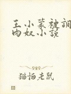 王小蒙被调教成肉奴小说封面